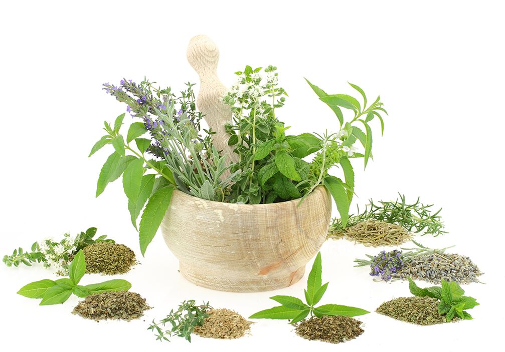 Vegetable extracts in the composition of the product